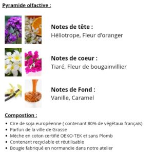 Bougie Parfumée « Fleur de Tiaré » – Alerte Tropiques